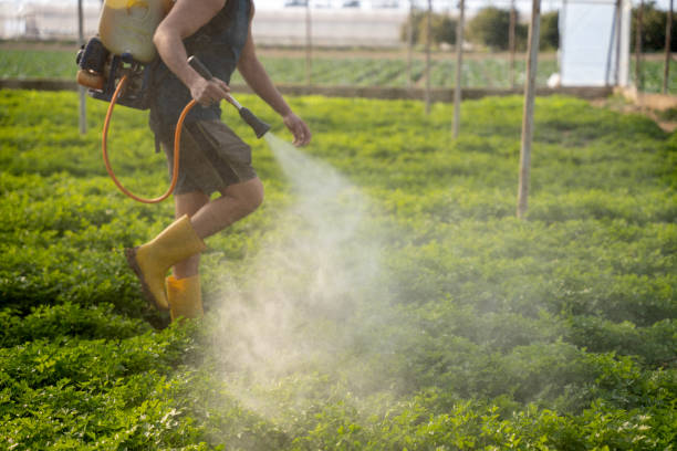 Best Best Pest Control Companies  in Cleona, PA